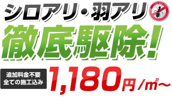 シロアリ駆除・羽アリ予防徹底駆除1,180円/㎡～